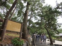 土日でまったり小旅行！静岡・伊豆の旅−２「世界遺産！三保の松原」編