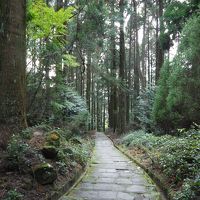 鹿児島ぶらり旅～霧島～指宿～知覧～種子島～屋久島　☆１日目☆