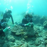 鹿児島ぶらり旅～霧島～指宿～知覧～種子島～屋久島　☆５日目☆