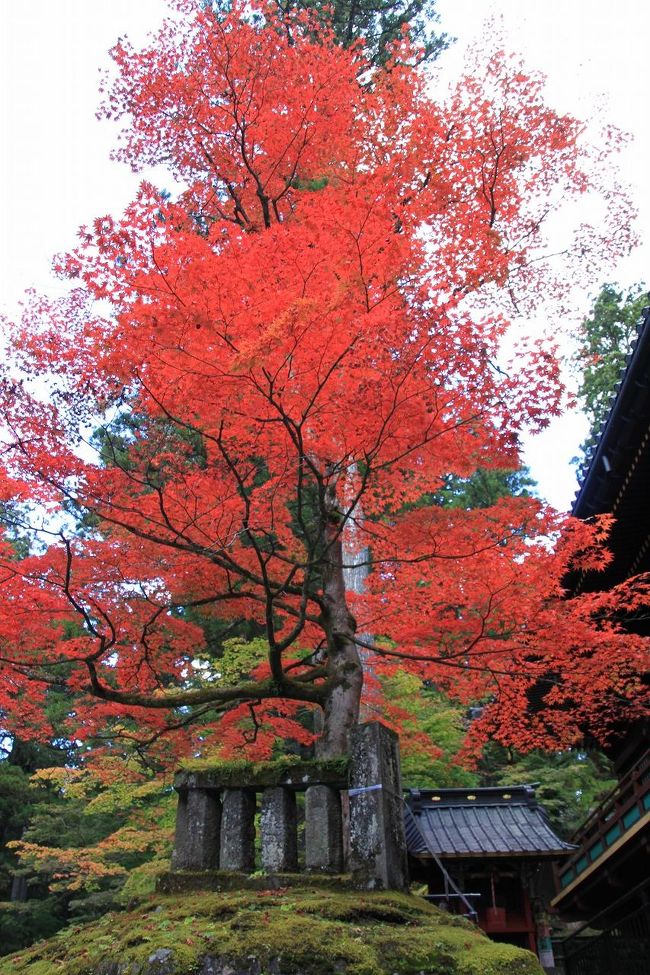 関西では少し早い紅葉と温泉を楽しみに、クラブツーリズムのツアーで草津と日光に出かけてきました。<br />日程は<br />10月26日(日）大阪から金沢駅へサンダーバードで行き、そこからバスで一路、草津温泉<br />10月27日(月）草津から吹き割りの滝見学後中禅寺湖で昼食。その後華厳の滝、日光東照宮を見学し鬼怒川温泉で宿泊<br />10月28日(火）鬼怒川温泉から神戸駅に行きわたらせ渓谷鉄道乗車し、水沢観音見学後バスで金沢に行き、そこからサンダーバードで大阪に行き帰宅。<br />の2泊3日のツアー。<br />途中いろいろなことが有りましたが、天気にも恵まれ、しかもよい温泉に入れて十分リフレッシュすることができました。<br />今回は旅行2日目の吹き割りの滝、中禅寺湖、日光東照宮までの旅行記を投稿します。