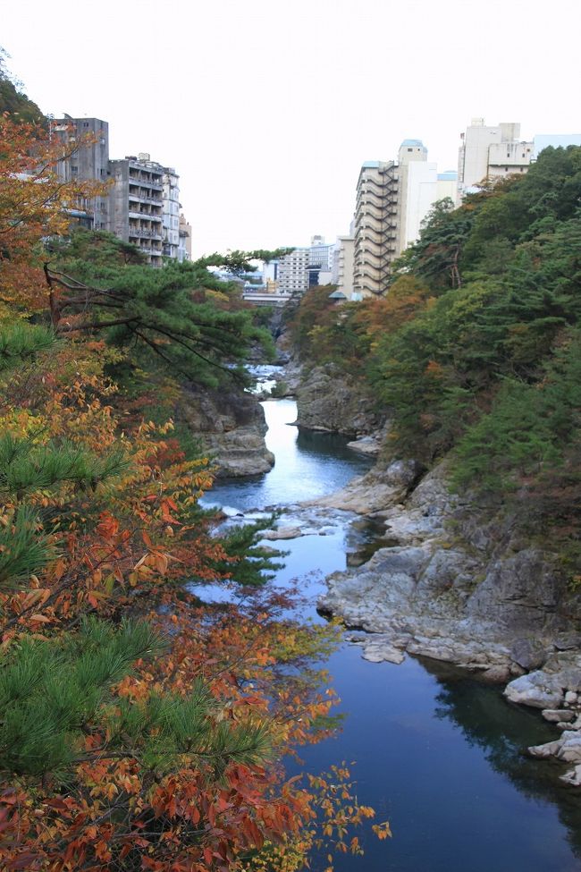 関西では少し早い紅葉と温泉を楽しみに、クラブツーリズムのツアーで草津と日光に出かけてきました。<br />日程は<br />10月26日(日）大阪から金沢駅へサンダーバードで行き、そこからバスで一路、草津温泉<br />10月27日(月）草津から吹き割りの滝見学後中禅寺湖で昼食。その後華厳の滝、日光東照宮を見学し鬼怒川温泉で宿泊<br />10月28日(火）鬼怒川温泉から神戸駅に行きわたらせ渓谷鉄道乗車し、水沢観音見学後バスで金沢に行き、そこからサンダーバードで大阪に行き帰宅。<br />の2泊3日のツアー。<br />途中いろいろなことが有りましたが、天気にも恵まれ、しかもよい温泉に入れて十分リフレッシュすることができました。<br />今回は旅行3日目のわたらせ渓谷鉄道と水沢観音、帰宅までの旅行記を投稿します。