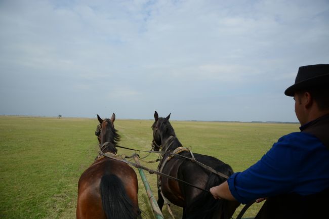 ホルトバージでは馬車に乗って 珍しい動物に会える大平原ツアーを楽しみました 美しい街並みとワインを求めてハンガリー北東部の旅14 Vol 8 その他の観光地 ハンガリー の旅行記 ブログ By Susanaさん フォートラベル