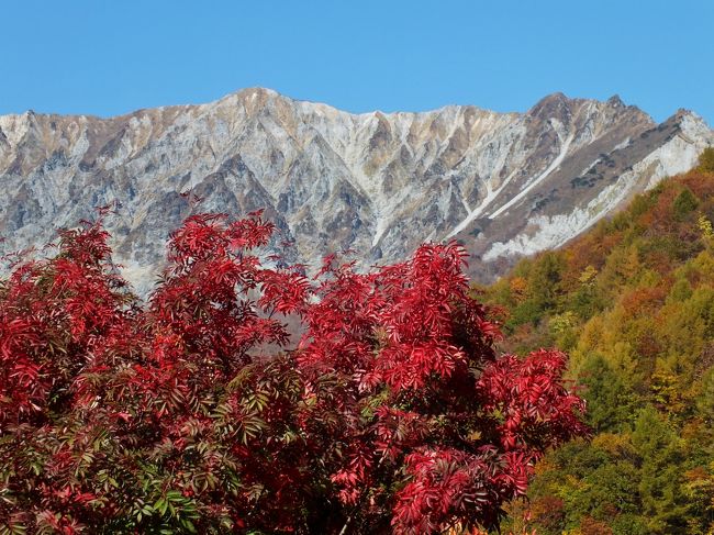 標高１７２９ｍ鳥取県の大山はブナの林の黄色や真っ赤なナナカマドなどの紅葉が一足早く見頃となったので行って来ました。<br />この日は快晴にめぐまれ平日にも関わらず大山の麓を周遊する道路は大混雑だったが、赤や黄色に染まった山容が青空に映えそれは見事。今年の紅葉は特に鮮やかで綺麗。<br />桝水高原から一の沢、二の沢、三の沢、鍵掛峠と巡って最後に鬼女台までをドライブ、大山の紅葉を満喫の旅でした。
