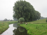 夏のオランダ・ベルギー　2014～その2　ブリュッセル・ブルージュ・ダム～