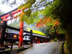 秋雨の中で11月最初の朝を迎えた奥嵯峨鳥居本