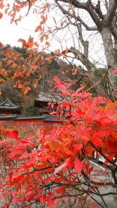 奥日光経由鬼怒川温泉1泊(11月2日)