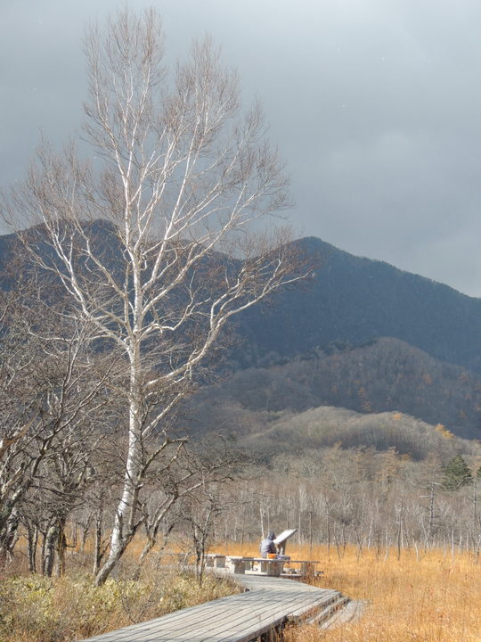 木々が紅に染まるこの時期、所属している会のメンバーと日光を訪れました。<br />年に1度の親睦を兼ねた1泊旅行です。<br />今回は、先生を含めて総勢10名。<br />日光らしい、美味しいものもいただいて、充実した秋の素敵旅でした♪<br /><br />昨日は、平成の大修理も大分進み、江戸の昔の創建時の美しさに甦った東照宮を見学し、夜は、温泉と美味しいお料理に舌鼓を打ちました。<br /><br />今日は、バスで「いろは坂」を上り、中禅寺湖・竜頭の滝を経て戦場ヶ原の入り口・赤沼に降り立ち、戦場ヶ原を歩きます。。<br /><br />さあ、ご一緒に晩秋の戦場ヶ原を歩いてみませんか。<br /><br />東武鉄道「まるごと日光　東武フリーパス」利用<br />日光までの東武鉄道往復＋東武バス乗り放題　4520円　4日間有効<br /><br />宿泊　Japan Total Club　会員専用ホテル「ホテル日光ジャパン」<br /><br />1日目　　日光東照宮周辺観光<br />東武北千住駅　午前9時21分発　東武快速<br />東武日光駅　　午前11時21分着　東照宮周辺観光<br />観光後ホテル送迎バスで霧降高原にあるホテルにチェックイン<br /><br />2日目　　戦場ヶ原ハイキング<br />ホテル送迎バスで日光駅〜東武バス（フリーパス）で「赤沼」下車<br />「赤沼」からおひとりさまの戦場ヶ原ハイキング<br />赤沼発路線バス（フリーパス）午後1時49分発〜渋滞<br />東武日光駅　15:51発　　<br />下今市乗換　16:05発　特急「スペーシア　きぬ130号」<br />北千住　　　17:32着　<br /><br />