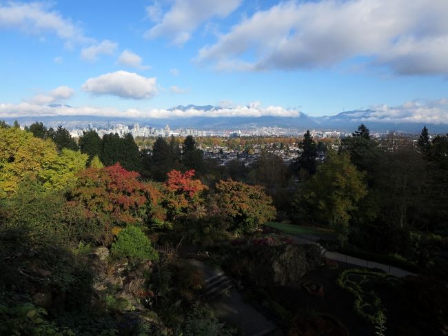 クイーン・エリザベス公園（Queen Elizabeth Park）に紅葉探しに行ってきました。<br /><br />この時期 雨が多いバンクーバーですが、天気がよい時間帯を狙って 1年ぶりのクイーン・エリザベス公園です。紅葉探しを目的に行くと、真っ赤に燃えるモミジがたくさんありました。いつ行っても楽しめる公園ですが、秋の散歩にもよいですね。<br /><br />■ クイーン・エリザベス公園 訪問歴 ■<br />1回目） 初夏の散歩<br />http://4travel.jp/travelogue/10814367<br />2回目） ブローデル温室植物園<br />http://4travel.jp/travelogue/10819729<br />★3回目） 秋の散歩 紅葉探し<br />http://4travel.jp/travelogue/10947298<br />4回目） 日本より一足早いお花見 五分咲きの桜＆満開のコブシ<br />http://4travel.jp/travelogue/10991026<br /><br />■ バンクーバー近郊で紅葉探し ■<br />★1） クイーン・エリザベス公園 （バンクーバー）<br />http://4travel.jp/travelogue/10947298<br />2） リッチモンド自然公園 （リッチモンド）<br />http://4travel.jp/travelogue/10828147<br />3） ディア湖公園 （バーナビー）<br />http://4travel.jp/travelogue/10945308<br />4） ライフェル渡り鳥保護区 （デルタ）<br />http://4travel.jp/travelogue/10826112<br />5） ベーカー山 （米国ワシントン州）<br />http://4travel.jp/travelogue/10943918