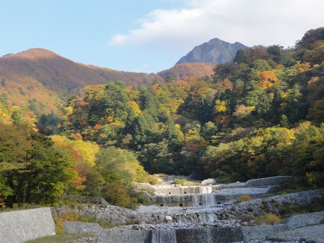 今回の秋登山のきっかけは、大阪 本町のバスク料理店が新たに展開するバルのプレオープンイベントに参加した時のこと。私と山トモ達が徳島県の剣山の紅葉を見に行きたいと考えている話をしたところ、その時に御一緒していたJOECOOLさん御夫妻が「じゃあ一緒に行きましょうか」と提案して下さったから。<br />レンタカーで金曜日の夜に大阪を出発して、剣山までアクセスの良いホテルに宿泊し、翌朝に登山スタートの計画。かなり早めの時期からホテルの予約もしていました。<br /><br />ところが、出発日の週に入り天気予報を見ると、どうも四国地方は曇＆雨マーク。しばらく様子を見ていたけれど、これはマズイってことでJOECOOLさんに四国より天気が良さそうだった鳥取県の大山に行き先の変更を提案。ホテルの予約もお願いしました。もともと大山も一度は紅葉の時期に登ってみたかった山です。<br /><br />結果的には、お天気に恵まれ、楽しみにしていた紅葉もちょうど見頃で大正解。登山者が大集合って感じで、大山は混み込みでした。
