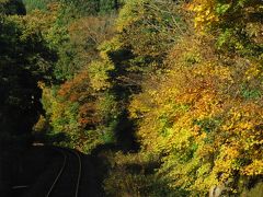 秋田内陸線　紅葉のローカル鉄道旅（秋田）