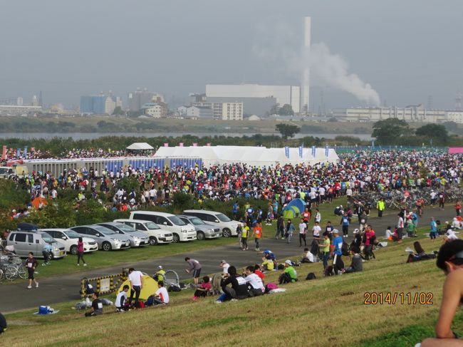 淀川河川公園で市民参加片のマラソンが１１月２日に開催され<br /><br />ニューチャリで見に行く<br /><br />参加者１万４・５千人近く居たのではないでしょうか、（フル・ハーフ・１０km）<br /><br />フルマラソンだけでも７８９３人とアナウンスしていました<br /><br />ついでにバードウォチングもしてきました<br /><br /><br /><br /><br />表紙　　　　　　　　　　　　大阪淀川マラソン・太子橋・外島地区淀川河川公園