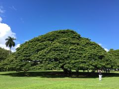 ～２０１４秋、子連れハワイ旅行　４日目～