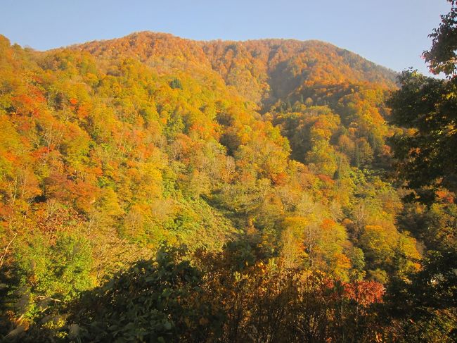 新潟から長野、山梨と紅葉の見所をバスツアーで回りました。長距離のバスツアーはかなりハードでしたが、お天気に恵まれてすばらしい紅葉を見ることができました。