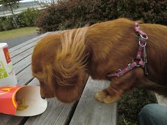 磯子・海の見える公園へ行きました。