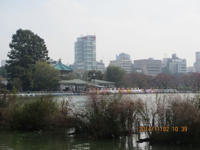 会社の福利厚生で、「2014年　国宝展」と<br />「上野動物園」のチケットを格安でゲット。<br /><br />この日は東京国立博物館が20：00まで開館だったので、<br />終日上野で過ごしてみた。<br /><br />まずは、「上野公園」へ。<br />結構沢山の外国からの観光客がいらしてビックリ。<br />インターナショナルな雰囲気と、<br />地元の方がお散歩やジョギングをしてるのを見て<br />これが上野の特徴なんだなーって感じた。<br />