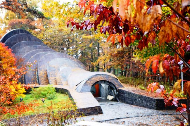 紅葉のピークに軽井沢に訪れるためには、毎日紅葉の進捗を見張っていてピークに近いと思われる週末にGo!すればよいのですが、そうウマくはいきません。<br />なぜなら定宿にしている東急ハーヴェストが2か月まえからの予約だからです。<br /><br />そうは言っても、2か月前にいつも出遅れるpuyo.<br />今回もまたまたキャンセル待ちなのでありました。<br /><br />3連休なので金曜日の夜から軽井沢に入り、2日の日曜日の夜までたっぷり滞在。<br /><br />でも、最後に信じられないハプニングが!!<br /><br />みなさん、どんなことが起こっても私たちのことを見捨てないでください<(_ _)>