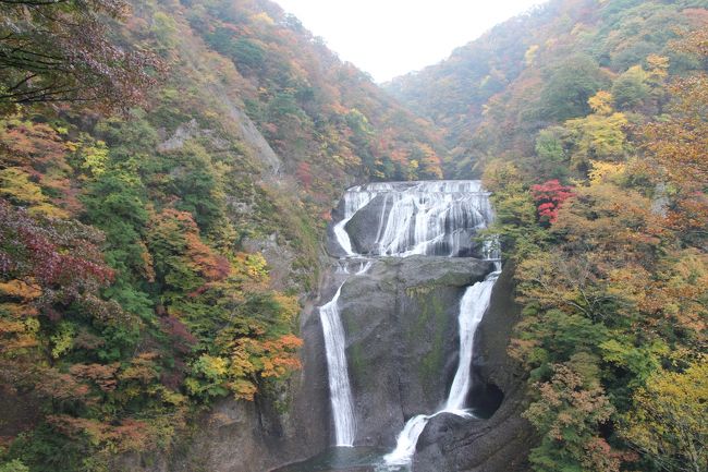 １０時にイマジンドッグスをチェックアウト。<br /><br />福島の大内宿や塔のへつりに向かおうかと思ったけど、あいにくの雨模様。<br />雨の中、大内宿を見て回るのは大変だと思い、断念しました。<br />もうひとつ候補になっていた茨城の袋田の滝や竜神峡大橋には、<br />行ったことがなかったし、小雨でも観光できそう（な気がする）し、、<br />もし観光できなかったら、日立で美味しい海鮮丼を食べればよいしと、<br />意気込み向かうことにしました。<br />