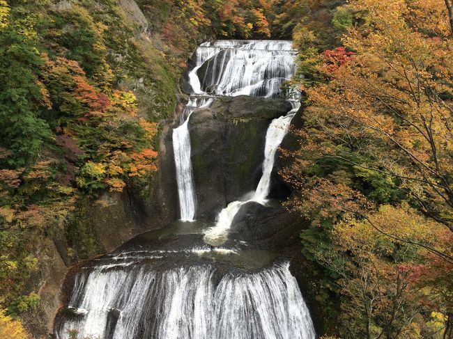 紅葉の季節になり、気になっていた「袋田の滝」に行ってみたいと、旦那にアクション!!<br />初の茨城県にお邪魔します。<br />三連休の中日で、お天気もまぁまぁだったので、沢山の人で賑わっていました。<br />