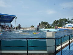 福井県　越前松島水族館