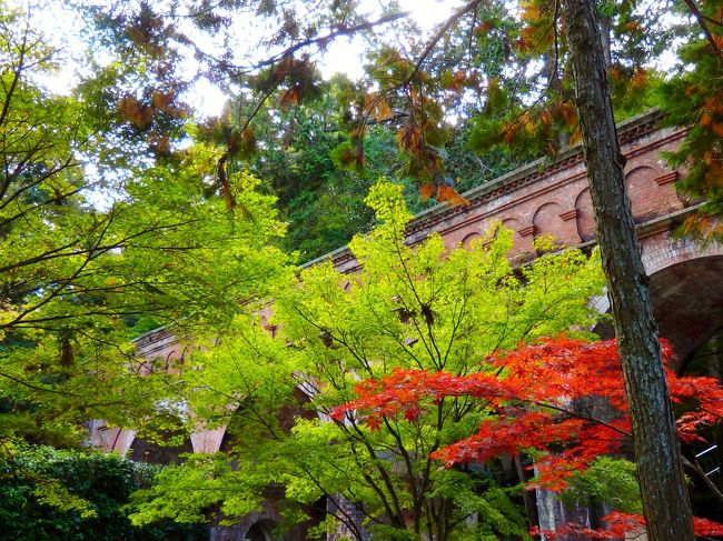 せっかくの３連休も雨で外に連れ出すことができなかった小梅の散歩がてら南禅寺の紅葉は如何なものかと出かけてきました。