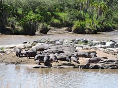興奮の連続！ゲームドライブ初体験♪♪　　　《タンザニア》アルーシャ＆セレンゲティ国立公園＆ザンジバル⑤