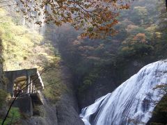後ちょっとだったお初の紅葉狩り(^^ゞ袋田の滝と茨城最高峰八溝山の絶景、そして那須塩原アウトレット♪