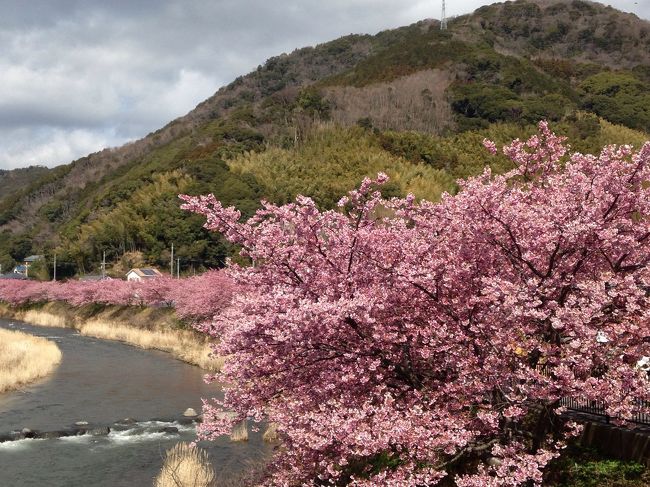 ２月は寒いから近場であったかい温泉！海の幸！そして桜！