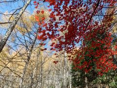 奥秩父・南天山と中津峡の紅葉