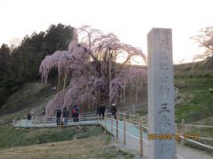 2014年春の日本紀行　（３）　いざ東北！　三春の滝桜に再会