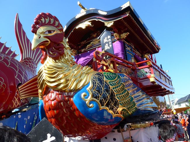 毎年恒例となっている佐賀県唐津市の秋祭り「唐津くんち」へ行ってきました。今年は快晴の中、実施され２８万人を超える人々が訪れていました。いつもの集合場所、呉服町商店街に集まりおもてなしの料理を受けその後、商店街から唐津神社そして１４の曳山が集う西の浜の砂場でひとつひとつの曳山を見て回りました。<br />最後はあるピノの近くにある高架下の屋台街「山ちゃん」で打ち上げをして終了しました。<br />今年も楽しい一時となりました。<br />写真は今年、塗り替えられた「６番山・鳳凰丸」です。光り輝いていました。