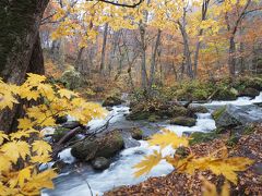 錦秋の東北を巡る。青森編