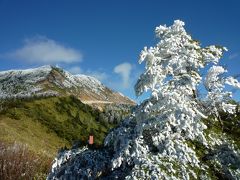 11月17日（月）から冬季閉鎖される志賀草津道路の樹氷に初めて、遭遇in遊び人♪（＾０＾）