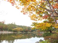 昭和記念公園ちょっと色づいた紅葉を観に。