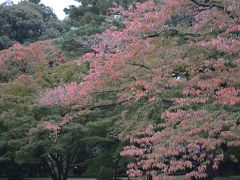 初秋の京都と寺院めぐり-３