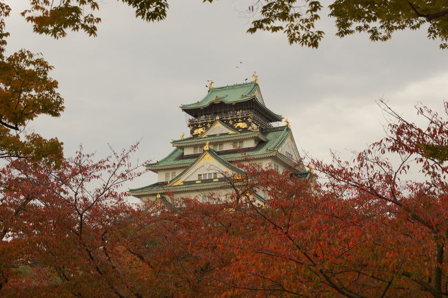 今日は、「生きた建築ミュージアム フェスティバル大阪2014」が開かれている大阪市に出かけます。<br />１１月１日、２日と普段入れない建物に入れたり出来ます。<br /><br />珍しく電車でお出かけです。天気はくもりで雨がちらつく天気予報です。<br /><br />それから、大阪城に向かいます。「だんじりin大阪城2014」を見に行きました。<br /><br />旅行期間は11月２日～11月３日になっています。宿泊地は・・・、自宅です（笑）<br />だんじりを３日にもう一度見に行きました。<br /><br />