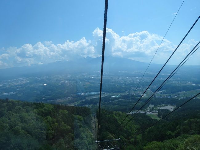 今年の5月に4トラベラーの琉球熱さんに、入笠山の山頂付近でワンコ同伴の人に会ったので、ラルフと一緒に行かれてみては? と掲示板で書き込みいただき、ラルフも一緒に行かれる山なら行ってみたいと思っていました。<br />そして、ちょうどその頃、テレビの旅番組で、富士見パノラマリゾートのことを放映していて、益々行ってみたくなり、5月下旬のお天気の良い日に出かけました。<br /><br />富士見パノラマリゾートのゴンドラは、ペツトも乗れ、ラルフも大喜びで乗車しました!<br /><br />ゴンドラ山頂駅からの八ヶ岳展望とお花畑を散策後、入笠山湿原でのハイキングを楽しみました。<br /><br />本当は入笠山山頂まで行きたかったのですが、お昼ころから雲が広がり、にわか雨が降ったりやんだりとお天気が崩れてしまったので、お花畑と湿原を楽しんで、帰路につきました。<br /><br />今度は、冬の雪遊びに行ってみたいと思いました。