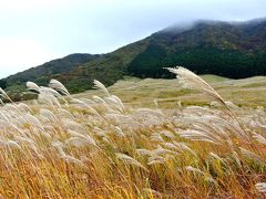 箱根で北海道グルメを食す！？仙石原・きたの風茶寮で温泉三昧☆霧の元箱根＆箱根神社（２日目）