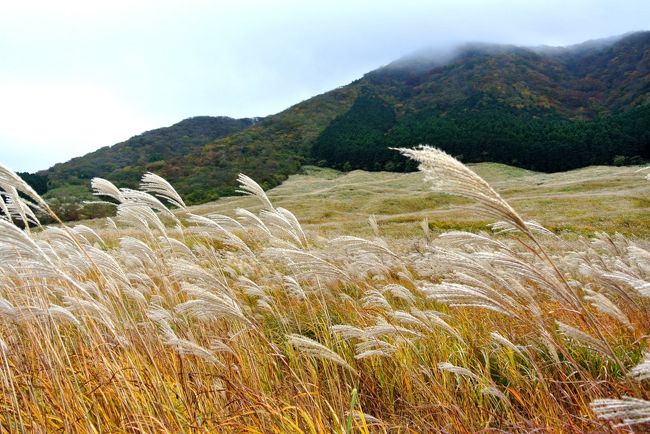 秋の温泉旅行♪<br /><br />今年は箱根・仙石原温泉の【きたの風茶寮】さんへ。<br /><br />北海道で展開する野口観光グループのお宿なので<br />北海道の旬の食材と箱根周辺の地物のコラボ料理が美味しいと<br />評判のデザイナーズ旅館。<br />全室源泉かけ流しの露天風呂や展望風呂が付いているのも<br />ポイント高い！ということで以前から狙っていたんです(^-^)<br /><br />紅葉シーズン１１月の３連休しか旦那さんと予定が合わず、<br />大混雑を覚悟の上で行ってきました。<br /><br />予定では〜<br />仙石原のすすき草原をお散歩する！<br />駒ヶ岳ロープウエイに乘り、箱根元宮にお参り！<br />元箱根散策！<br />ラテラッツァでピッツァ・パスタランチorBakery&amp;Table箱根で絶景ランチ！<br />美味しいスイーツめぐり！<br />・・・などと考えていましたが、果たして？！<br /><br />２日目、お天気は回復するのでしょうか？<br /><br />１日目の旅行記はこちらです<br />→http://4travel.jp/travelogue/10948914