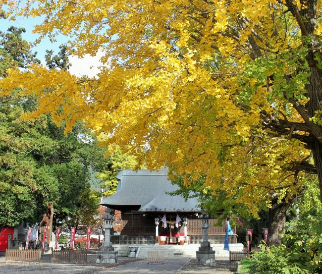 午前中に鳴子峡の紅葉を楽しんだ後、福島にやって来ました。<br />今夜は飯坂温泉に宿をとっています。<br />