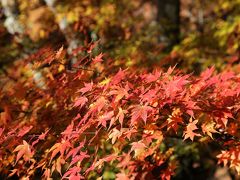 西沢渓谷の紅葉 ～3度目の正直～