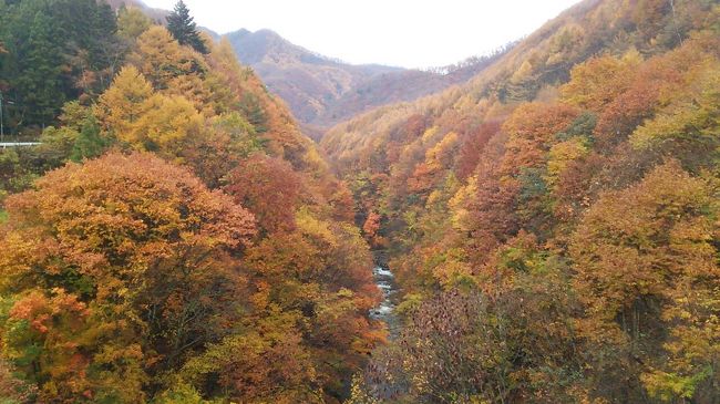 女3人で今年は尾瀬経由奥利根泊谷川岳から沼田赤城と行って来ました。<br />高速を使わず、一般道と県道を乗り継いだため、渋滞もなく快適なドライブを満喫できました！<br />急ぐ旅でもないので、予定にはない場所に寄ったり、道の駅で「新鮮な野菜を購入したりして大変有意義な旅が出来ました。<br />紅葉も最高で、車の少ない山中は、赤や黄色に染まり、車窓も十分に楽しめました。