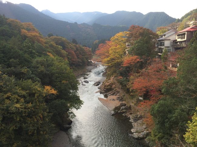 きょうは、紅葉を求めて、東京奥多摩の御岳山にハイキングに行ってきました！<br />新宿から、電車乗り換えしながら、御岳駅へ。バスでケーブルカー乗り場まで行き、そのケーブルカーで御岳山へ！！あれ？御岳山は、もうこれで終わり（笑）<br />まあまあまあ、それではハイキングにならないので、苔むした岩で有名なロックガーデンと、ふたつの滝に行ってきました！<br />よく、ガイドブックの表紙にもなってるロックガーデン、、写真のような苔むした感じにはならなかったけど、川のせせらぎとあいまって、こころが落ちつきました^ ^<br />天狗岩というでっかい岩を登ると、天狗が！！いや、ただの像でした（笑）<br />そもそも、ここの木の根がでかい、そして、長いんです。<br />そのあと、七代の滝と綾広の滝で、マイナスイオンをもらいました。<br />ちなみに綾広の滝は、修行でも使われる滝らしいです！<br />滝に打たれる修行なんて、したくないなー！<br />それにしても、きょうは、右足の親指が痛いな^o^なので、本当は、もう少し足を伸ばして、日の出山のほうまで行こうと思ってたけど、きょうはまた、ケーブルカー乗り場に戻って帰ることにしました！<br />なので、2時間30分のハイキングになっちゃいましたが、滝もみれて、天気もよくて、紅葉も綺麗だったので、まあまあリフレッシュできたので、よかった。よかった。