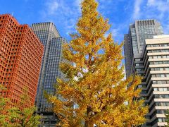 東京駅・行幸通り・皇居・北の丸公園の紅葉