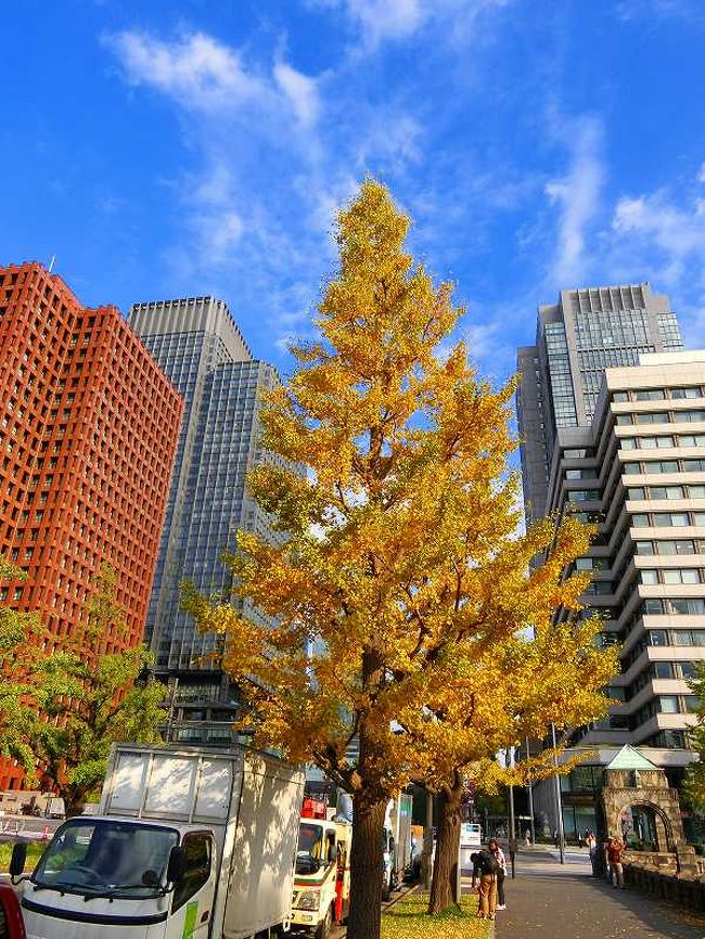 東京駅・行幸通り・皇居・北の丸公園の紅葉