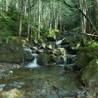 白樺湖と八ヶ岳