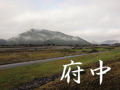 「東海道五拾三次」を歩く　　二十、府中 ～ 丸子