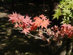 秋の北鎌倉①☆円覚寺☆弁天堂茶屋☆2014/11/04