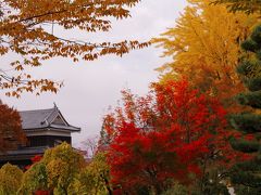 上田城址公園秋の彩り