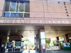 20141017私の鎌倉散歩道  秋のフラワーセンター