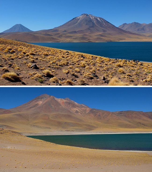今日の前半は、サン・ペドロ・デ・アタカマからも近いアタカマ塩湖とチャクサ湖を訪問。<br />アタカマ塩湖あたりは標高２４３６mにあるサン・ペドロ・デ・アタカマの町とそんなに高度は変わらないし、遊歩道を歩いても呼吸には問題なし。<br /><br />後半戦では、いよいよアルゼンチンとの国境も近いアタカマ高地の中のミスカンティ湖とミニケス湖を訪れてみます。<br />このあたりは標高４２００m位にはなるらしい。<br />徐々に高度を上げて行く道筋だけど、着いた先では高山病の症状が出るだろうな…。(；＾ω＾)<br />それでも、行けるところまでは行ってみようとアタカマ塩湖を出発！<br /><br /><br />表紙の画像は、上段がミスカンティ湖。下段はミスカンティ湖から１kmほど離れた場所にあるミニケス湖。<br />標高４０００ｍを超える場所だと、さすがに車から降りて歩き出した途端に息が切れて苦しい散策になりました。<br /><br />●注：　ミスカンティ湖とミニケス湖の標高は、資料によって４１００ｍ台から４３００ｍ台とまちまち。<br />この旅行記では、４２００ｍ位と言う事で紹介して行こうと思います。